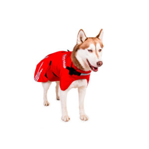 Long Distance Jacket by Non-stop dogwear. Non-stop dogwear, premium dog gear for active pets and working dogs | Dog harnesses | Dog collars | Dog Jackets | Dog Booties.
